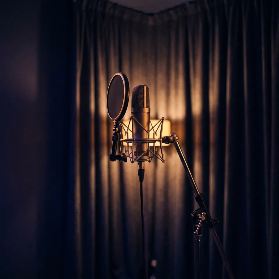 Un micro de studio sur son pied, devant un rideau sombre.